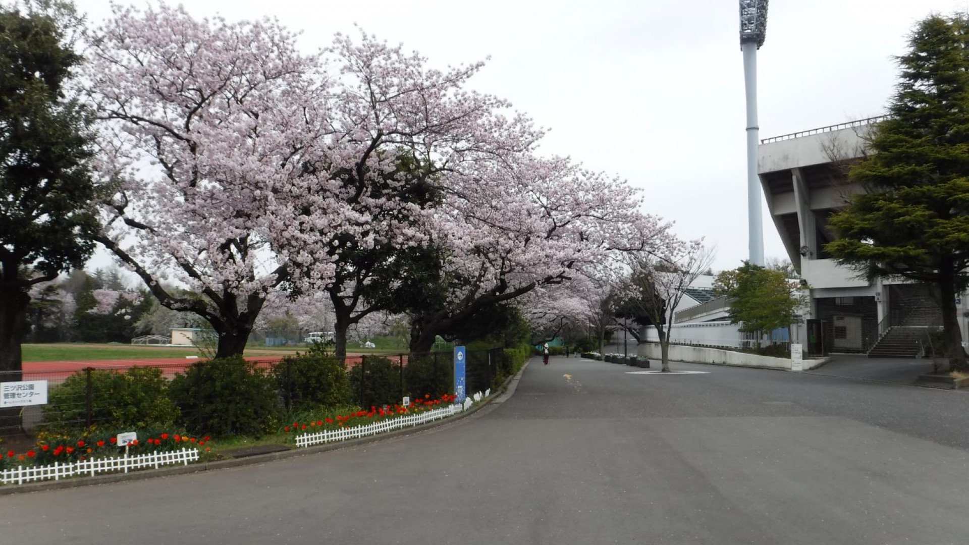 🌳 미쓰자와 공원 이미지 1